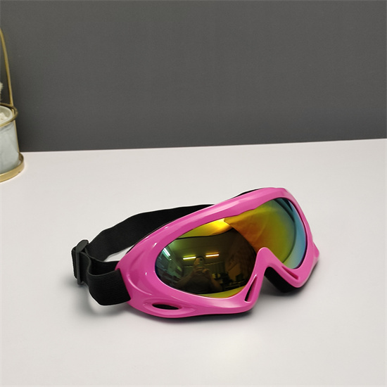 Oakley Ski Goggles 015